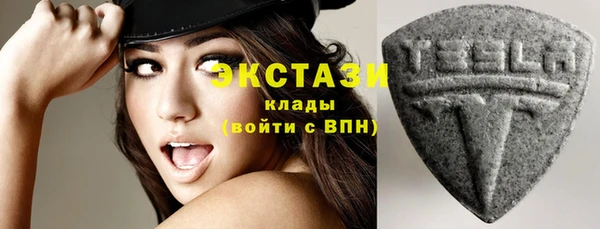 индика Володарск