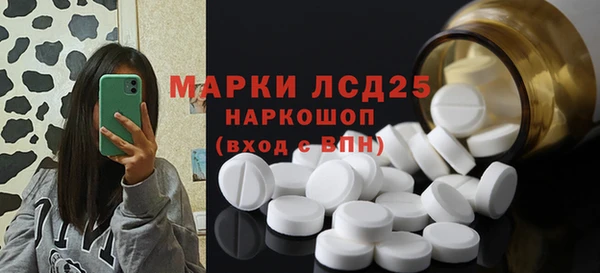 мдпв Вяземский