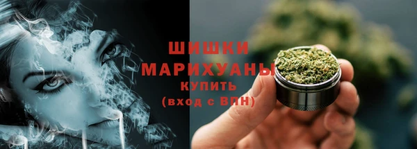 индика Володарск