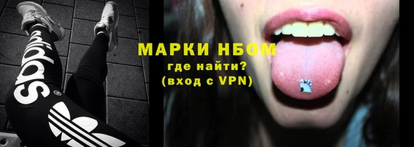 мдпв Вяземский
