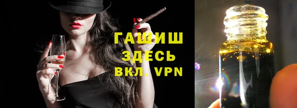 индика Володарск