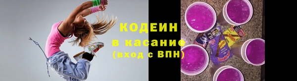 мдпв Вяземский