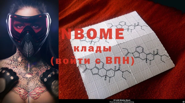 индика Володарск