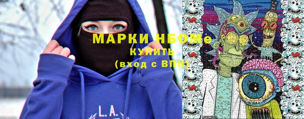 индика Володарск