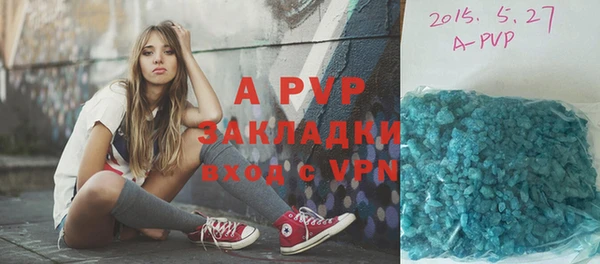 индика Володарск